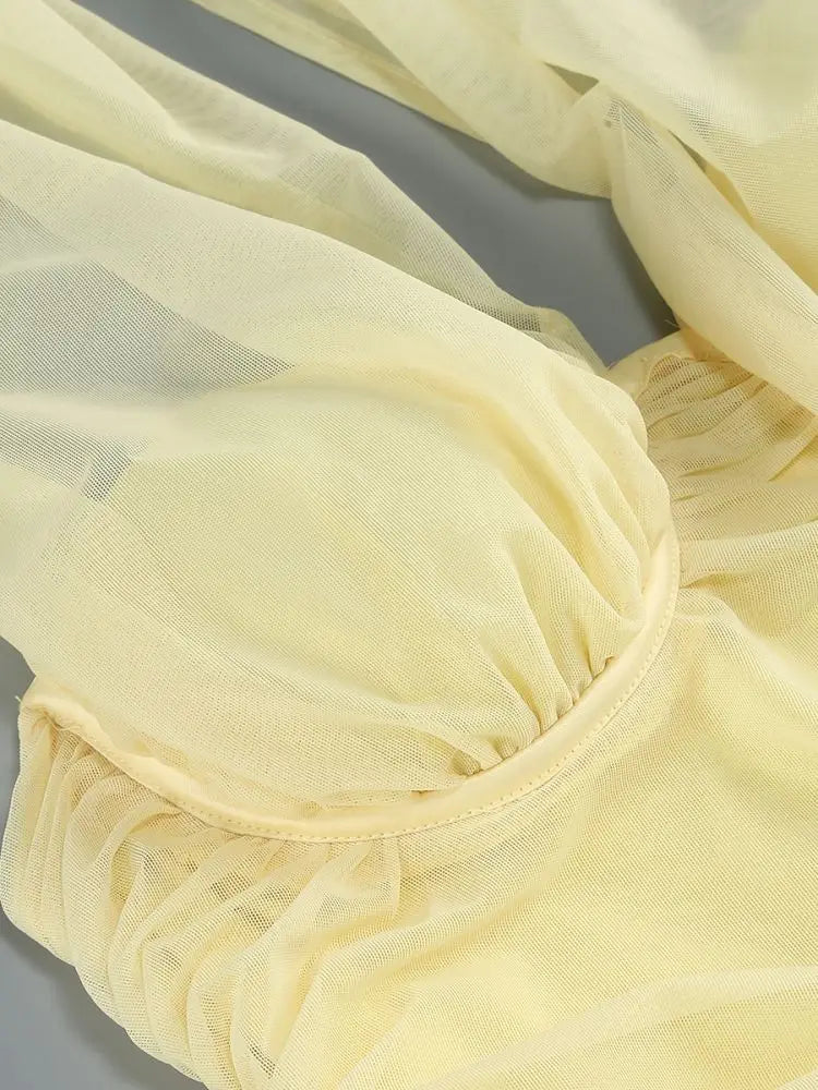 Tatti Mesh Halter Gown Dress