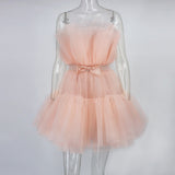 Deanna Mesh Ruched Dress - SunsetFashionLA