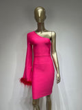 Eleanor One Shoulder Bandage Feather Dress - SunsetFashionLA