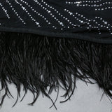 Nathalie Mesh Rhinestone Feather Long Sleeve Dress - SunsetFashionLA