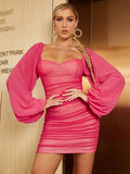 Paris Long Sleeve Puff Sleeve Mesh Dress