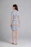 Marica Lace Rhinestone Dress